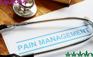 Pain management with CBD - hanfplatz