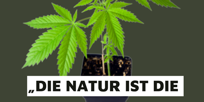 Hanf-Shops - Südburgenland - Die Natur heilt und hält alles für uns bereit. Auch für DICH - Cbd Regional