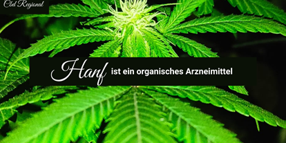 Hanf-Shops - Produktkategorie: Hanf-Kosmetika - Österreich - Cbd Regional