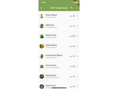 Hanf-Shops - Zustellung - Strainspotter - die perfekte APP für iOS und Android - Suchfunktion für Cannabissamen - Cannapot Hanfsamen - Online Cannabis Samen Fachhandel