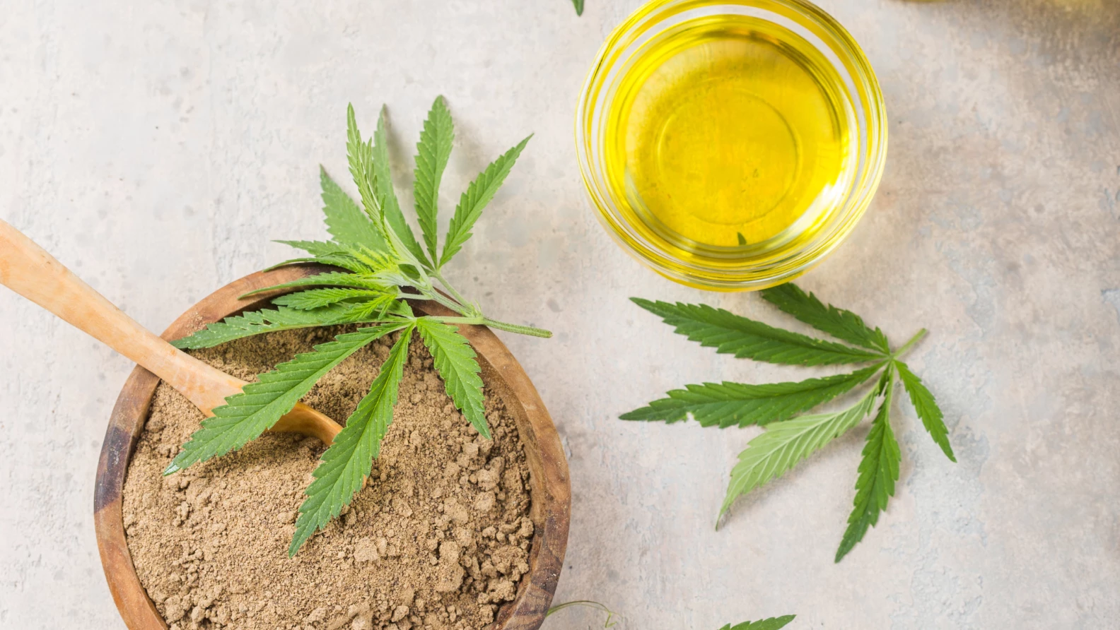Hemp leaves next to CBD oil