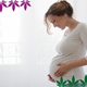 CBD and HHC in pregnancy - hanfplatz