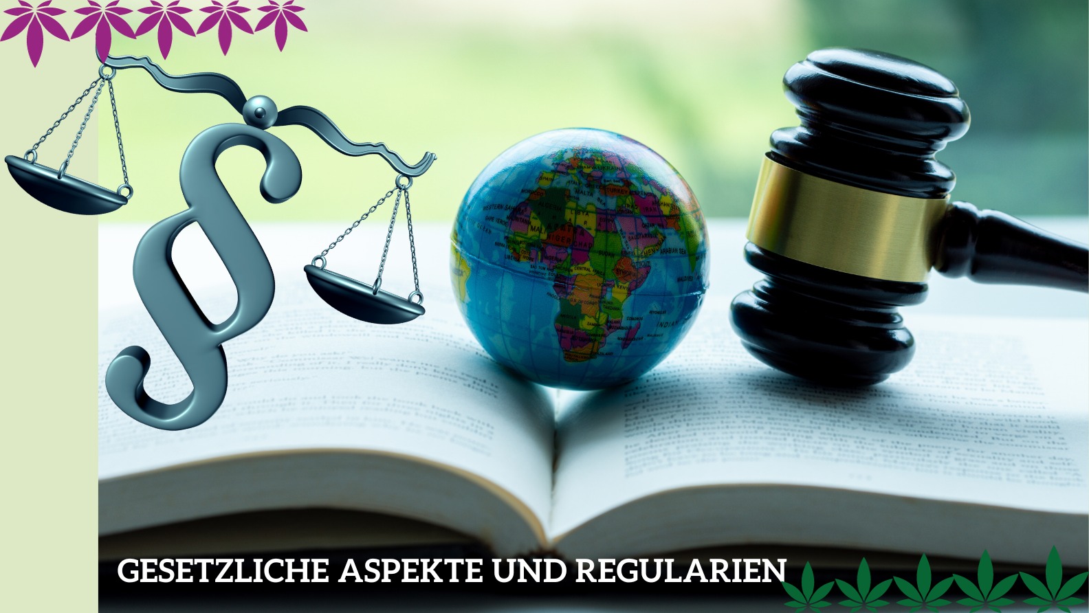 Aspects juridiques et réglementations - hanfplatz