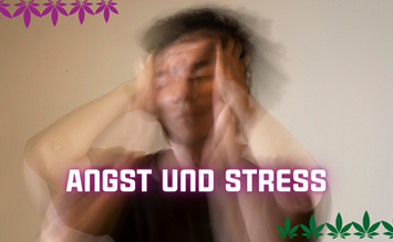 Hemp as a natural support for anxiety and stress management - hanfplatz