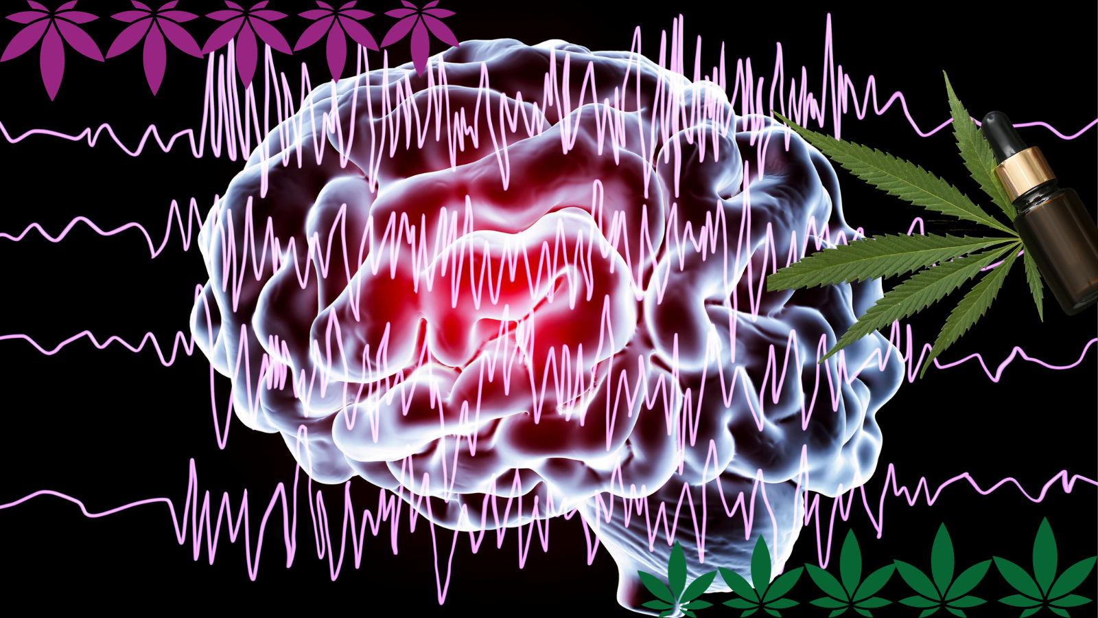 Neuroprotection et épilepsie - hanfplatz