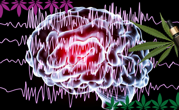 Neuroprotektion und Epilepsie - hanfplatz
