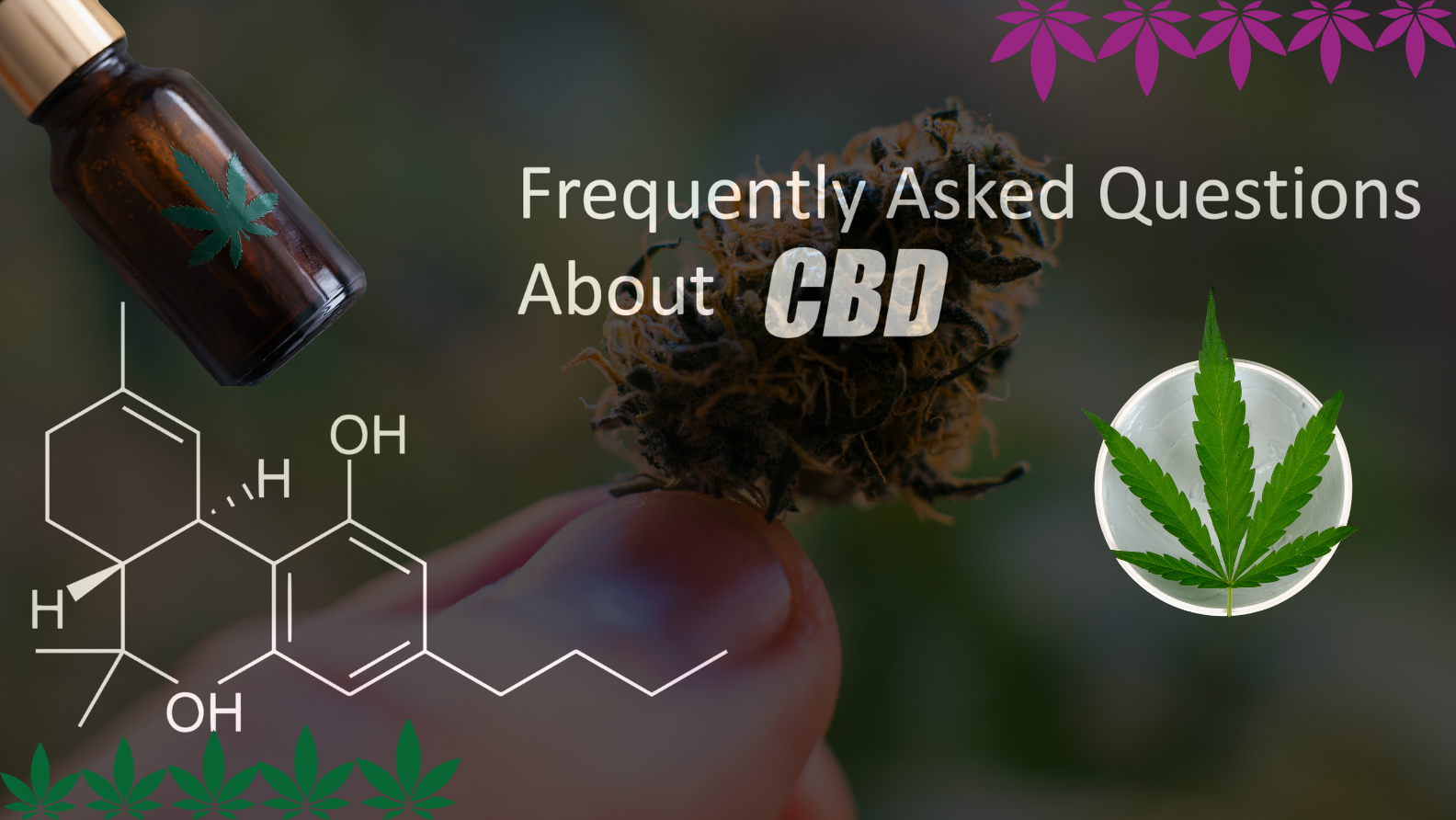 Cannabinoïdes – de quoi s’agit-il exactement ? - hanfplatz