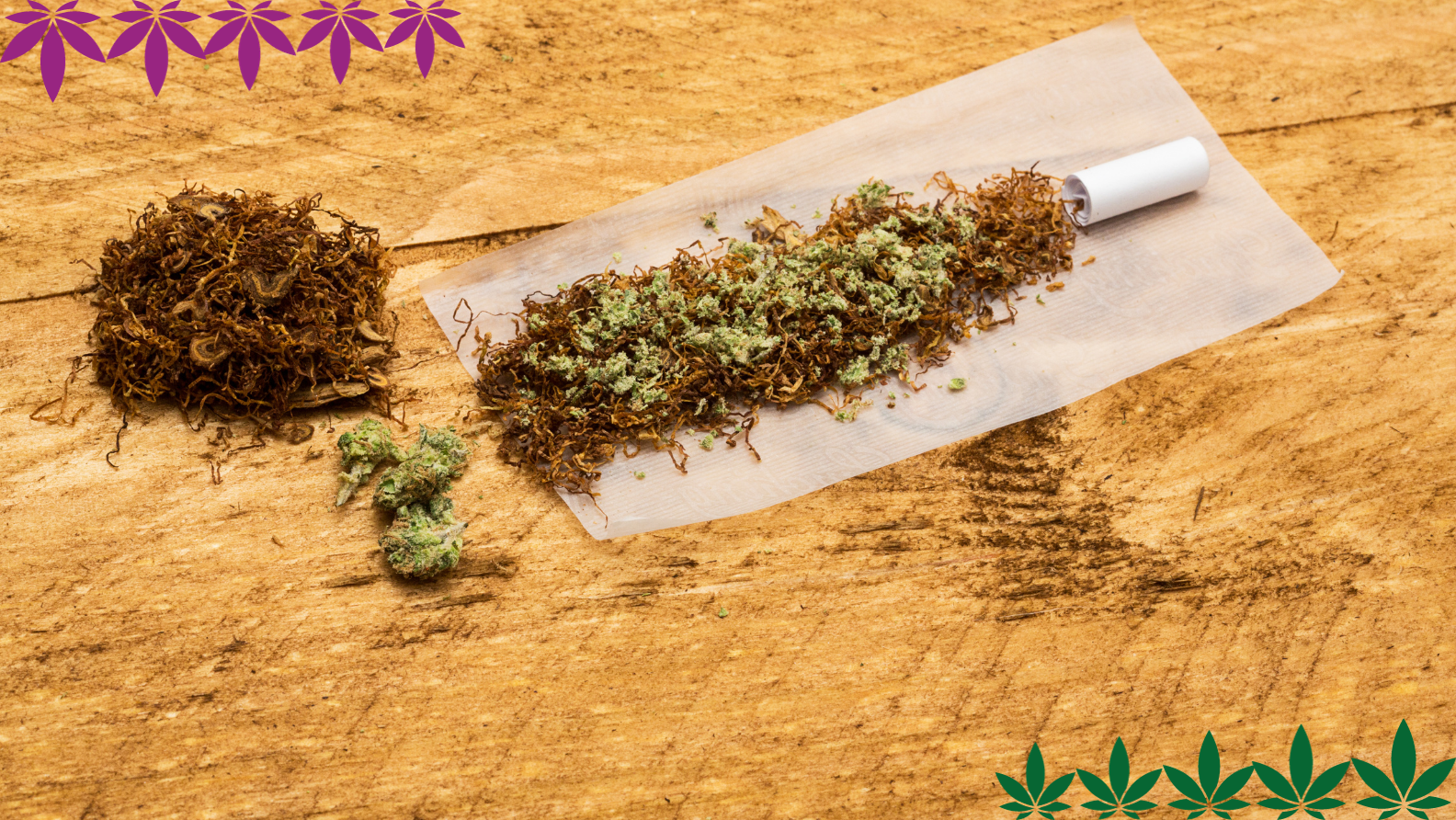 La canapa come droga - hanfplatz