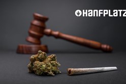 Es ist vollbracht! Die „Teil-Legalisierung“ von Cannabis in Deutschland ab 1.4.24:  - hanfplatz