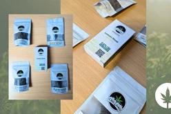 Richtig gutes Zeug: CBD-Blüten von CBD040 aus Hamburg im Test - hanfplatz