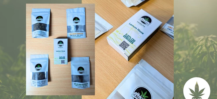 De très bonnes choses : fleurs de CBD CBD040 de Hambourg testées - hanfplatz