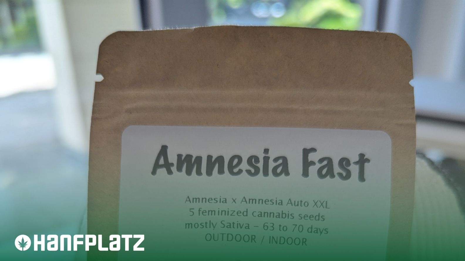 7 Anfängerfehler beim Grow, die ich selbst gemacht habe (und wie du sie vermeidest) - hanfplatz