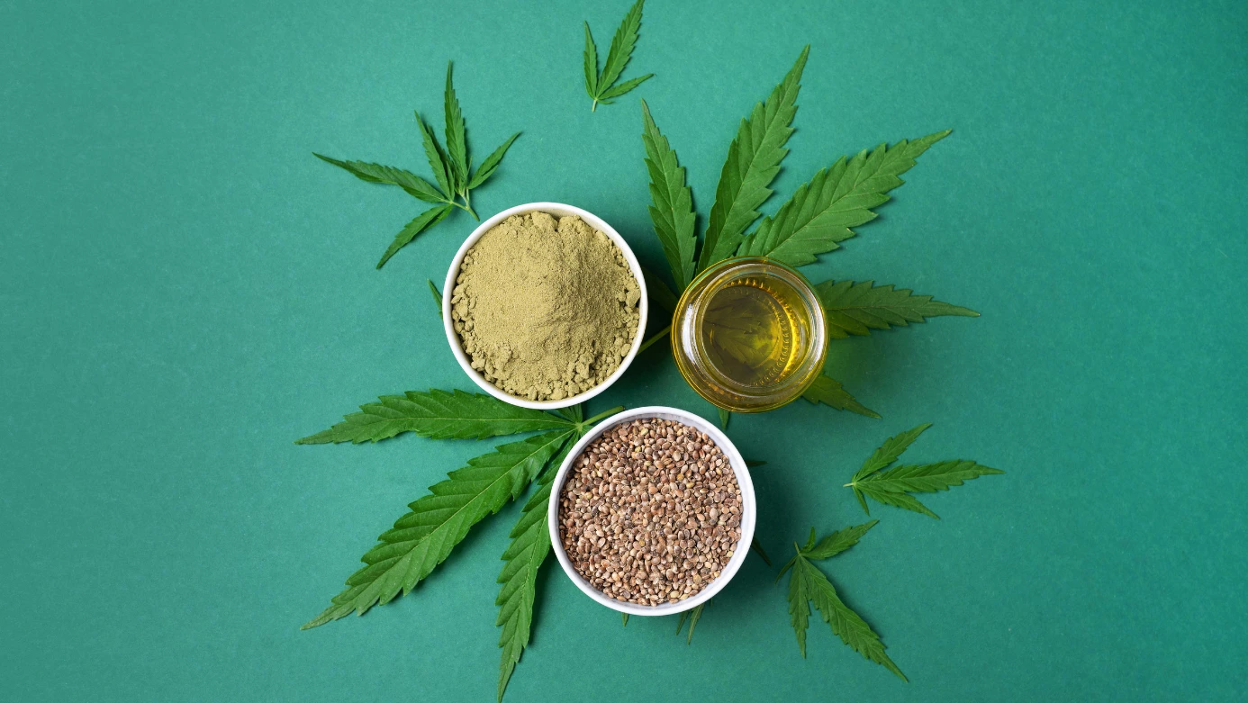 Le chanvre sous toutes ses facettes