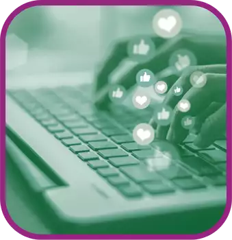 BEST Paket für Hanfshops