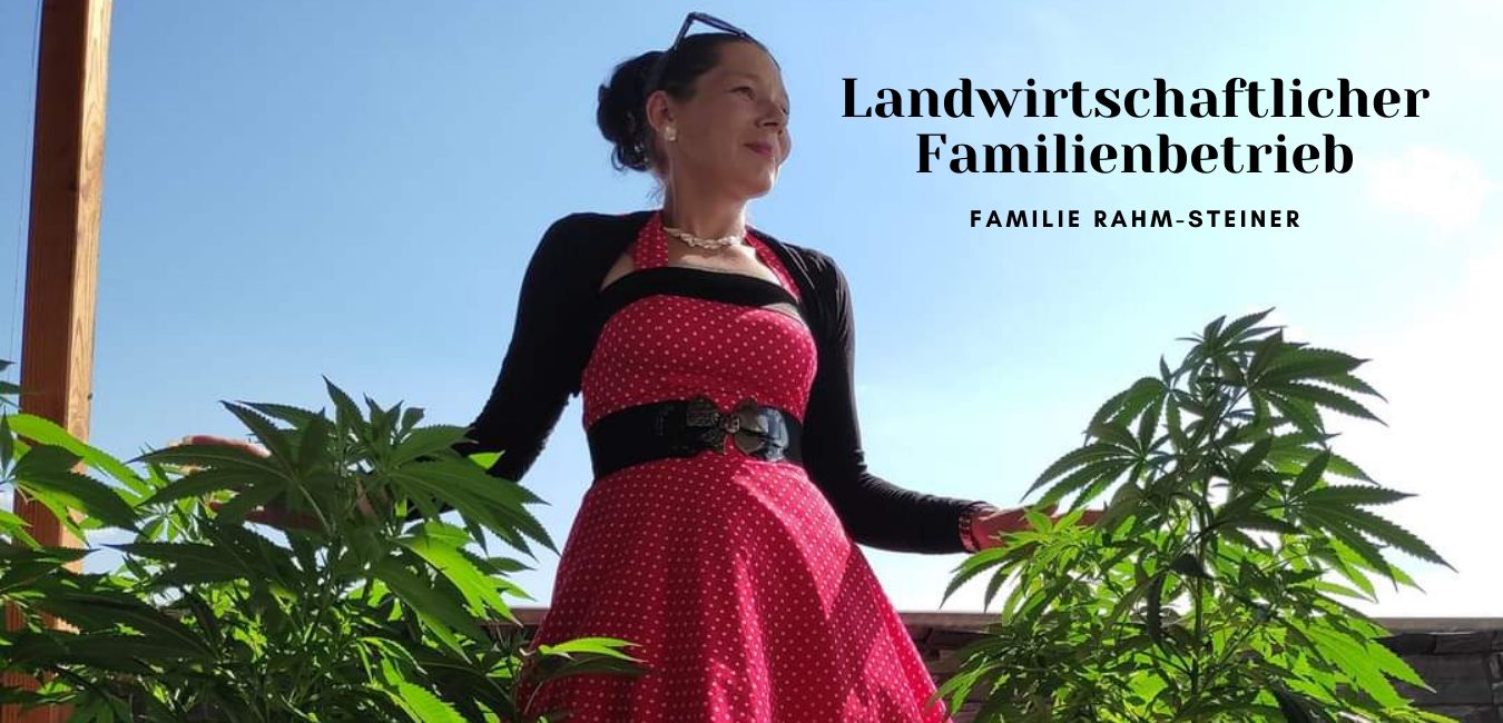 CBD-Shop - Wenn Sie natürliche alternativen in Erwägung ziehen, dann sind Sie hier genau richtig.  
Hier bei CBD Regional haben Sie die Möglichkeit, die wertvolle Wirkung der Hanfpflanze sicher, legal und nachhaltig für sich zu entdecken. - Cbd Regional