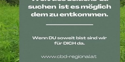 Magasins de chanvre - CBD-Shop - Königsdorf (Königsdorf) - Cbd Regional