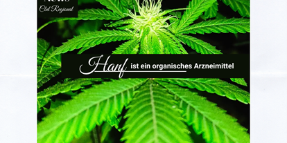 Hanf-Shops - Produktkategorie: Hanf-Pflanzen - Übersbach - Cbd Regional