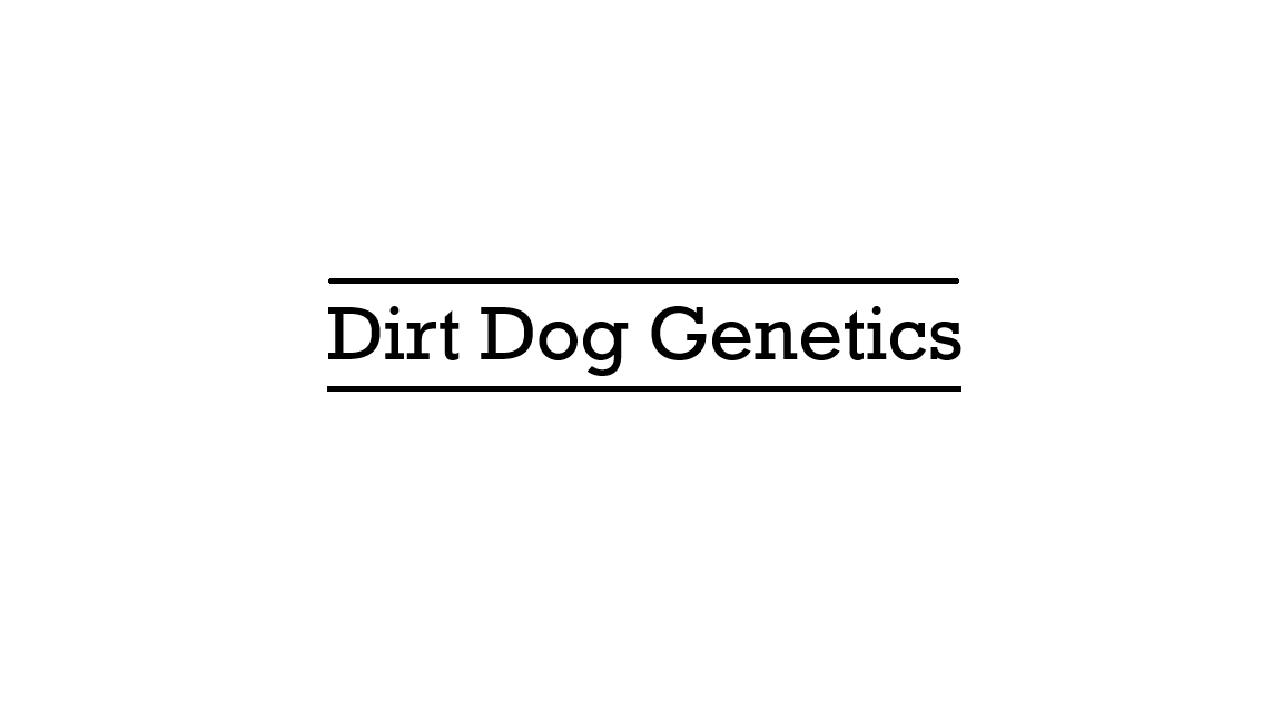 CBD-Shop - Online Shop für Vermehrungsmaterial. - Dirt Dog Genetics 