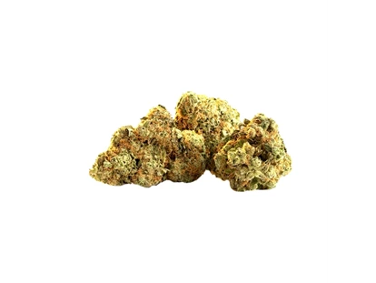 Negozi di canapa - Harlequin CBD Blüten - Cannapot Hanfsamen - Online Cannabis Samen Fachhandel