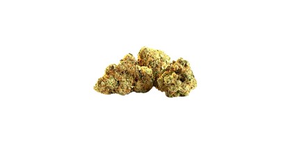 Hanf-Shops - Harlequin CBD Blüten - Cannapot Hanfsamen - Online Cannabis Samen Fachhandel