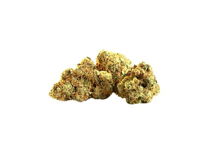 Hanf-Shops - Harlequin CBD Blüten - Cannapot Hanfsamen - Online Cannabis Samen Fachhandel