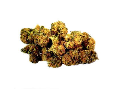Hennep winkels - Uhrwerk Orange CBG Blüten - Cannapot Hanfsamen - Online Cannabis Samen Fachhandel