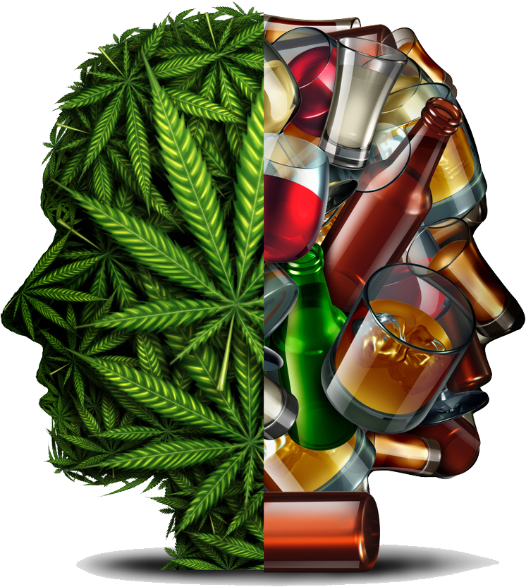 CBD-Shop - HANF WEB DE|CBD Öl online kaufen  - HANF WEB DE