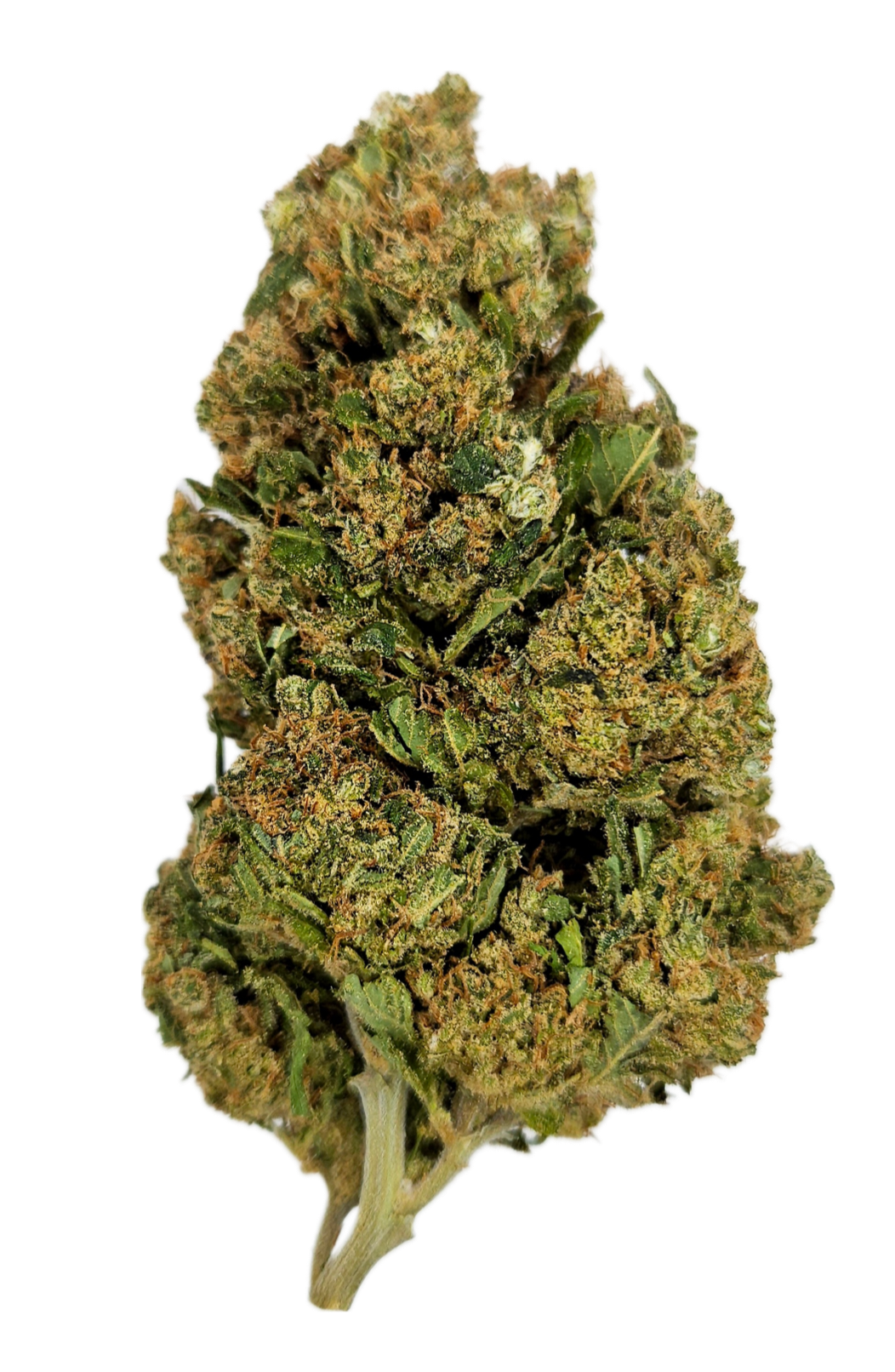 Hanf-Shops - Bayern - CBD Blüte Watermelon Skittlez - Haze & Kush -CBD Shop