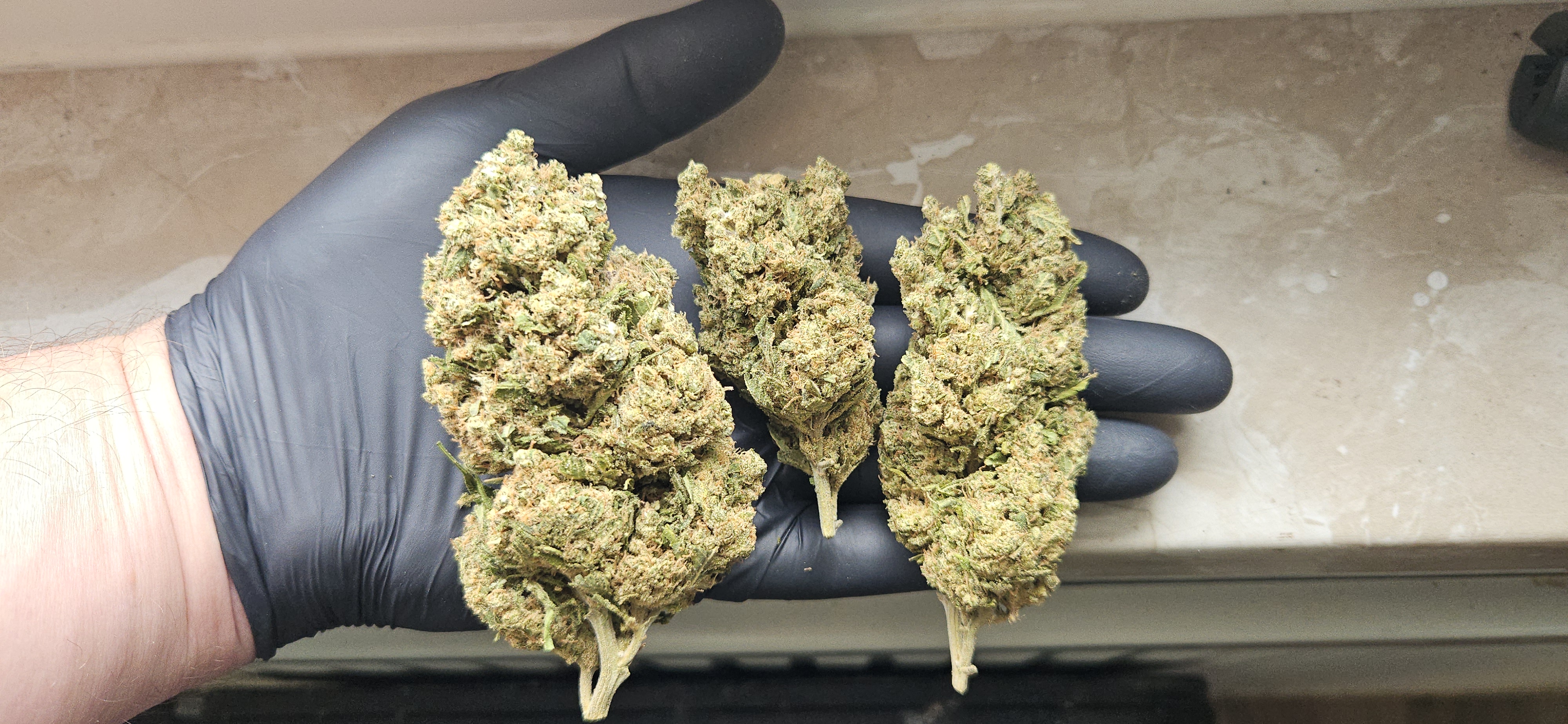 CBD-Shop: big buds - Haze & Kush -CBD Shop