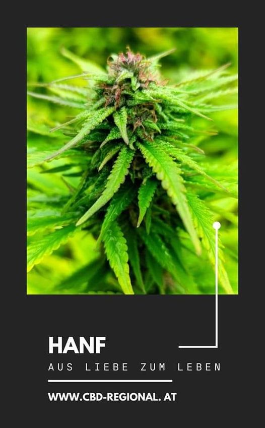 CBD-Shop: Cbd Regional