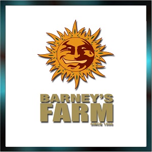CBD-Shop: Barneys Farm  - Seedcity.de