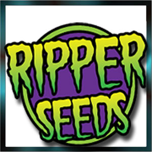 CBD-Shop: Ripper Seeds  - Seedcity.de