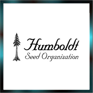 CBD-Shop: Humboldt Seeds  - Seedcity.de