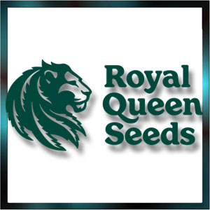 CBD-Shop: Royal Queen Seeds  - Seedcity.de