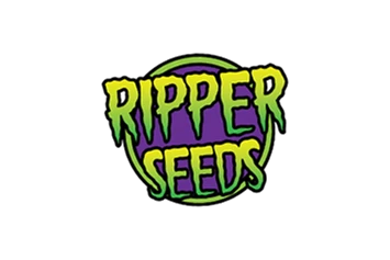 CBD-Shop: Ripper Seeds erhältlich. - Seedcity.de - Inh. Rico Buda 