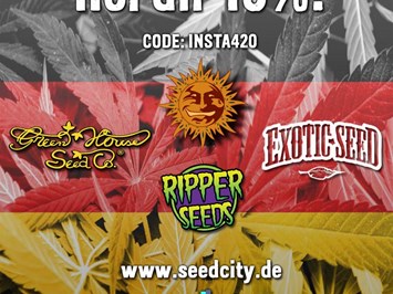 Seedcity.de - Inh. Rico Buda  Promotions Gutschein 