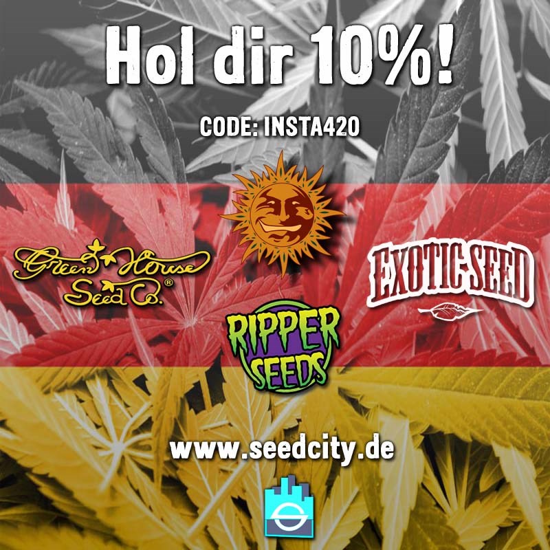 Seedcity.de - Inh. Rico Buda  promotions Coupon 