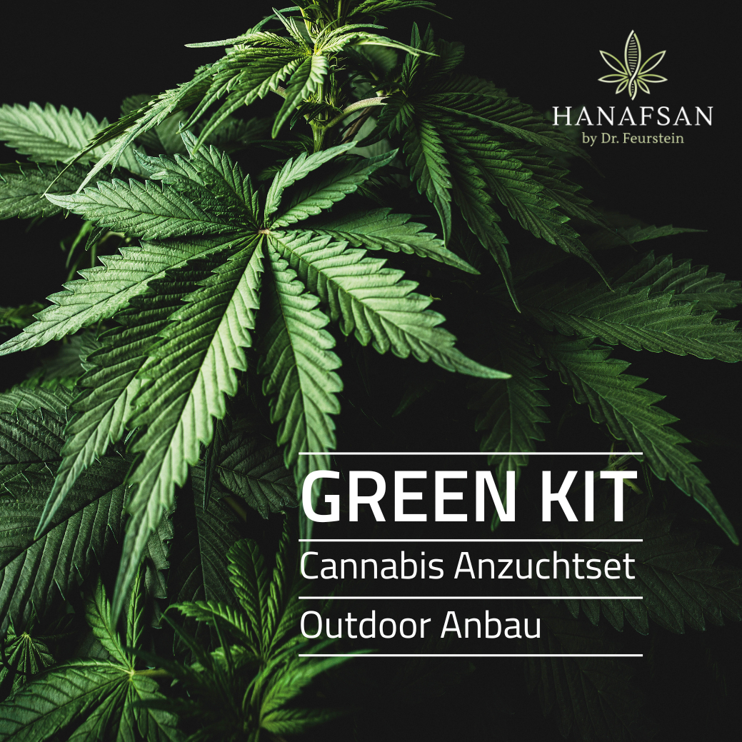 HANAFSAN Promotions Cannabis Starter-Set