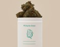 CBD-Shop: Cannabisblüten aus dem Charlie Green Shop in weißer matten Verpackung - Charlie Green GmbH 