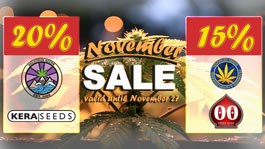 Mr. Hanf promozioni Azioni Signor Hanf