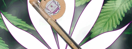 Hanf: ☠️Killer Pre Rolled Stick "Hexenmix - CBD, 10-OH-HHC, CBG & CBN - Handgefertigt von der Hexe☠️