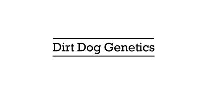 Magasins de chanvre - Abholung - Rhénanie du Nord-Westphalie - Online Shop für Vermehrungsmaterial. - Dirt Dog Genetics