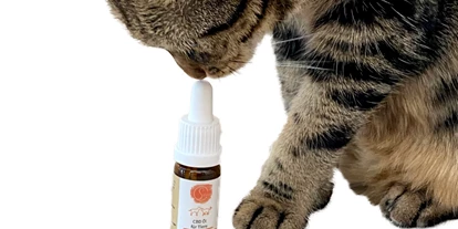Magasins de chanvre - Sariwa CBD Öl für Tiere | Katzen und Hunde - CBD Hanftropfen Für Katzen & Kleine Hunde