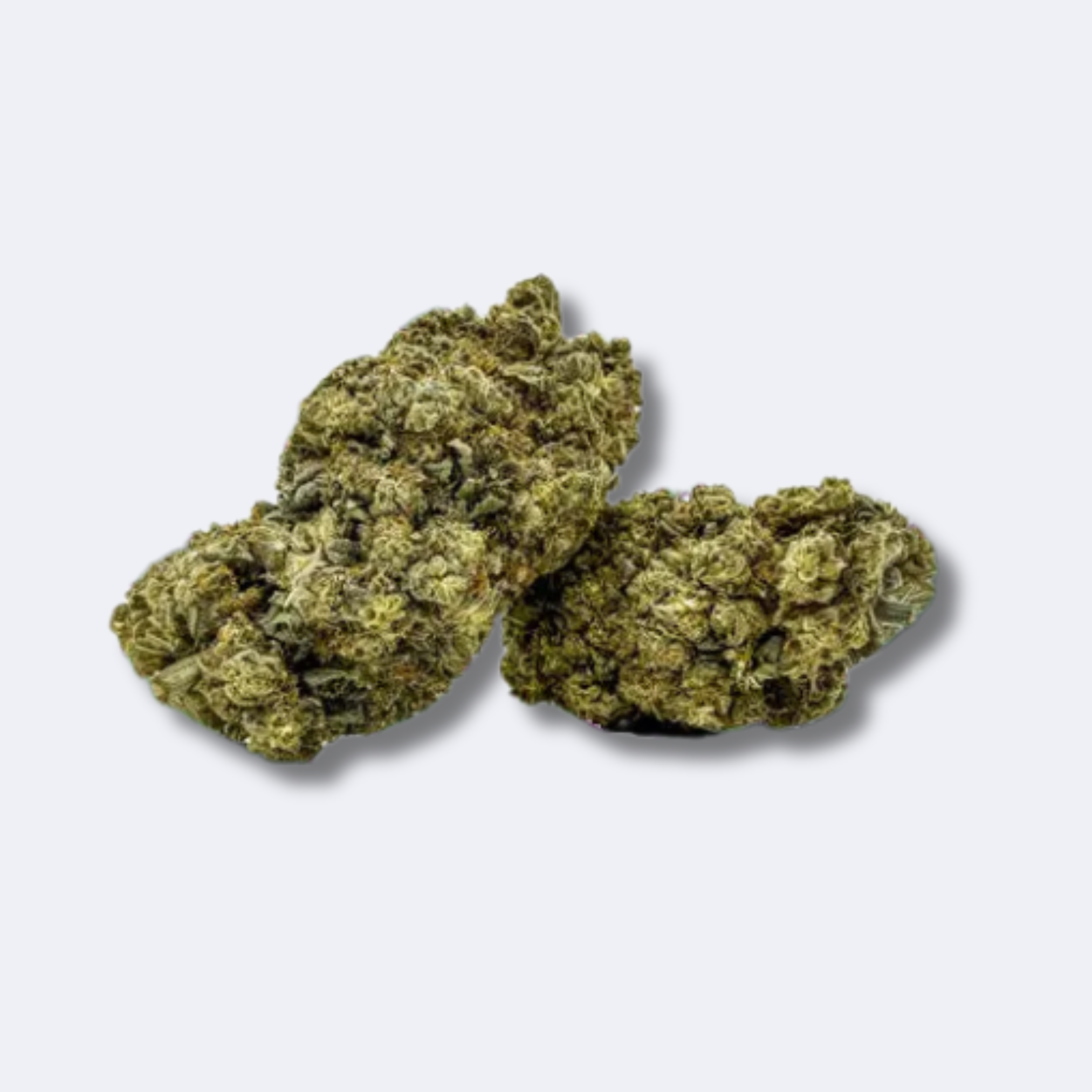 Magasins de chanvre - Rhénanie du Nord-Westphalie - Crazy Ten 10-OH-HHCP Blüten - CBD Hexe Onlinehandel Crazy Ten | 10% 10-OH-HHCP Blüten