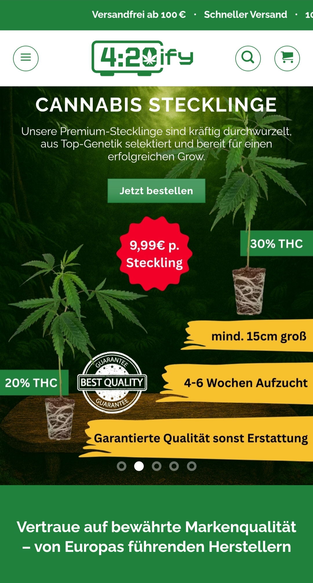 Negozi di canapa - Unsere Premium Stecklinge mit Qualitätsgarantie - 
4-6 Wochen Aufzucht, frisch und kräftig geliefert für einen erfolgreichen Grow. - 420ify.de