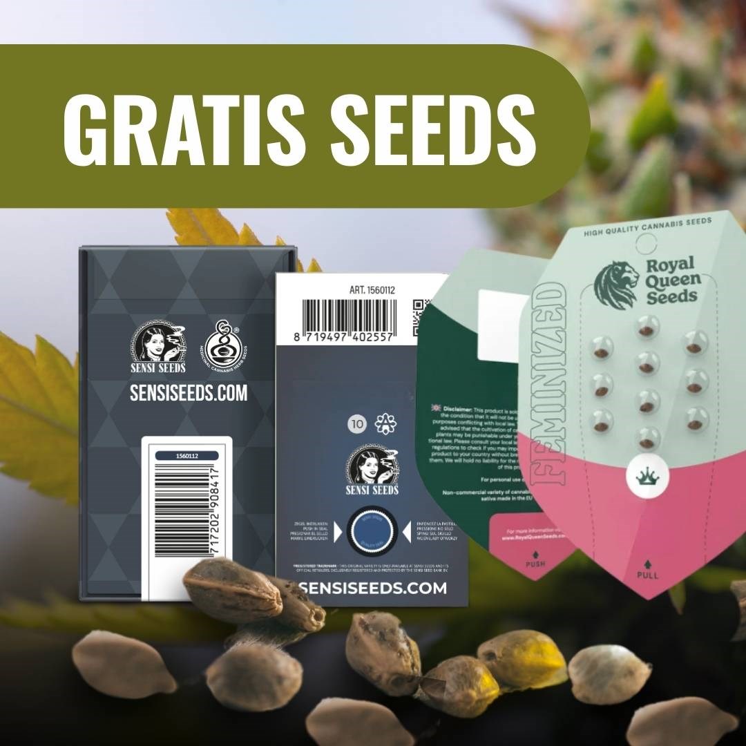 MySeeds Promotions Hol dir kostenlose Cannabissamen, schon ab 20 € Einkauf!