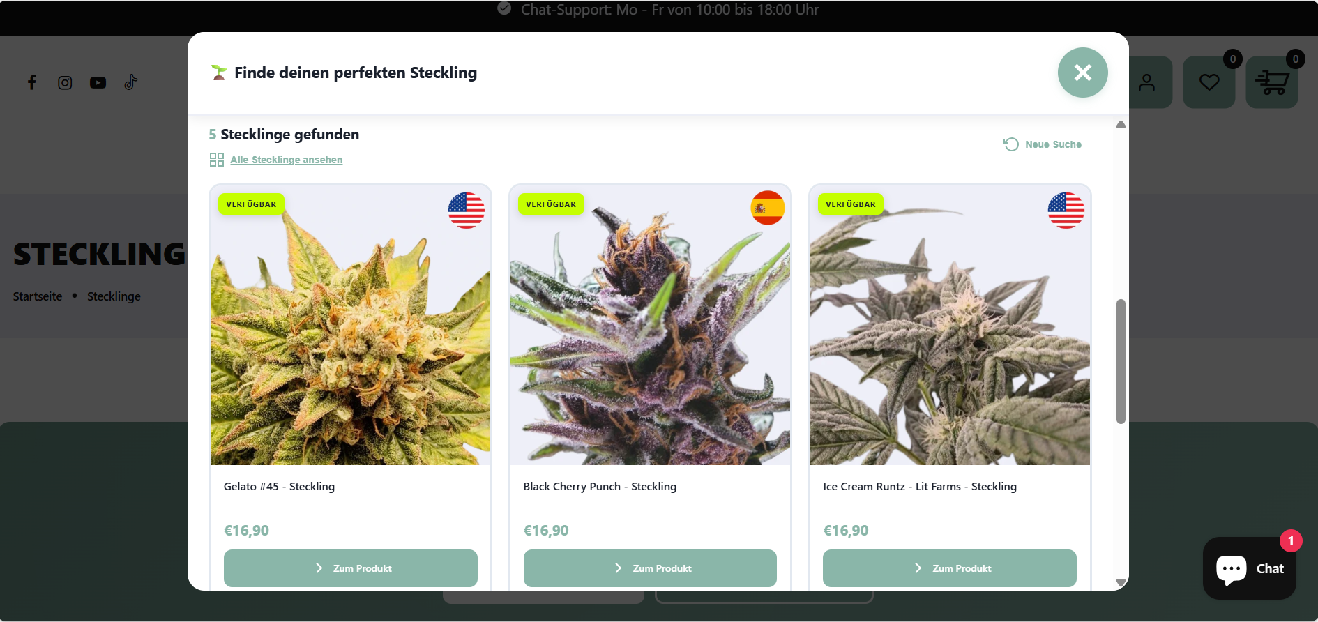 Hanf-Shops - Hanf-Gärtnerei - Hessen Süd - Mit unserem Steckling-Finder kannst Du die richtige Sorte für Dich finden. Dabei zeigen wir Dir die besten Ergebnisse aus unserem Shop basierend auf Deinen Präferenzen.  - Nova Hemp