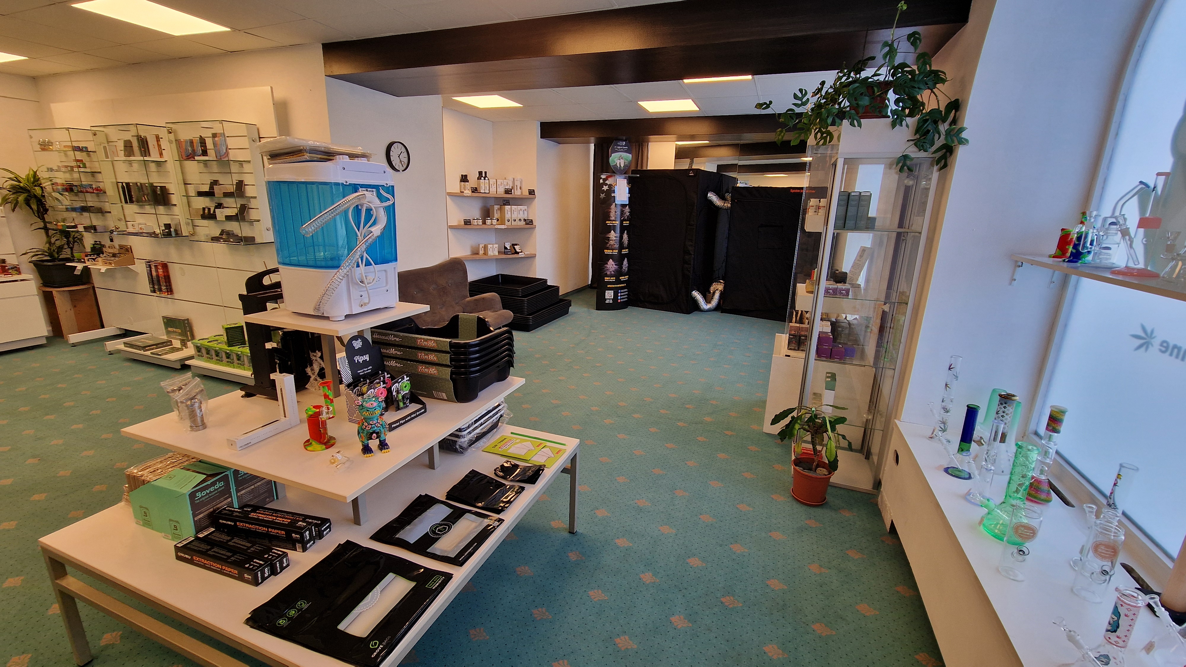 CBD-Shop: Headshop 4 - Alpen High GmbH