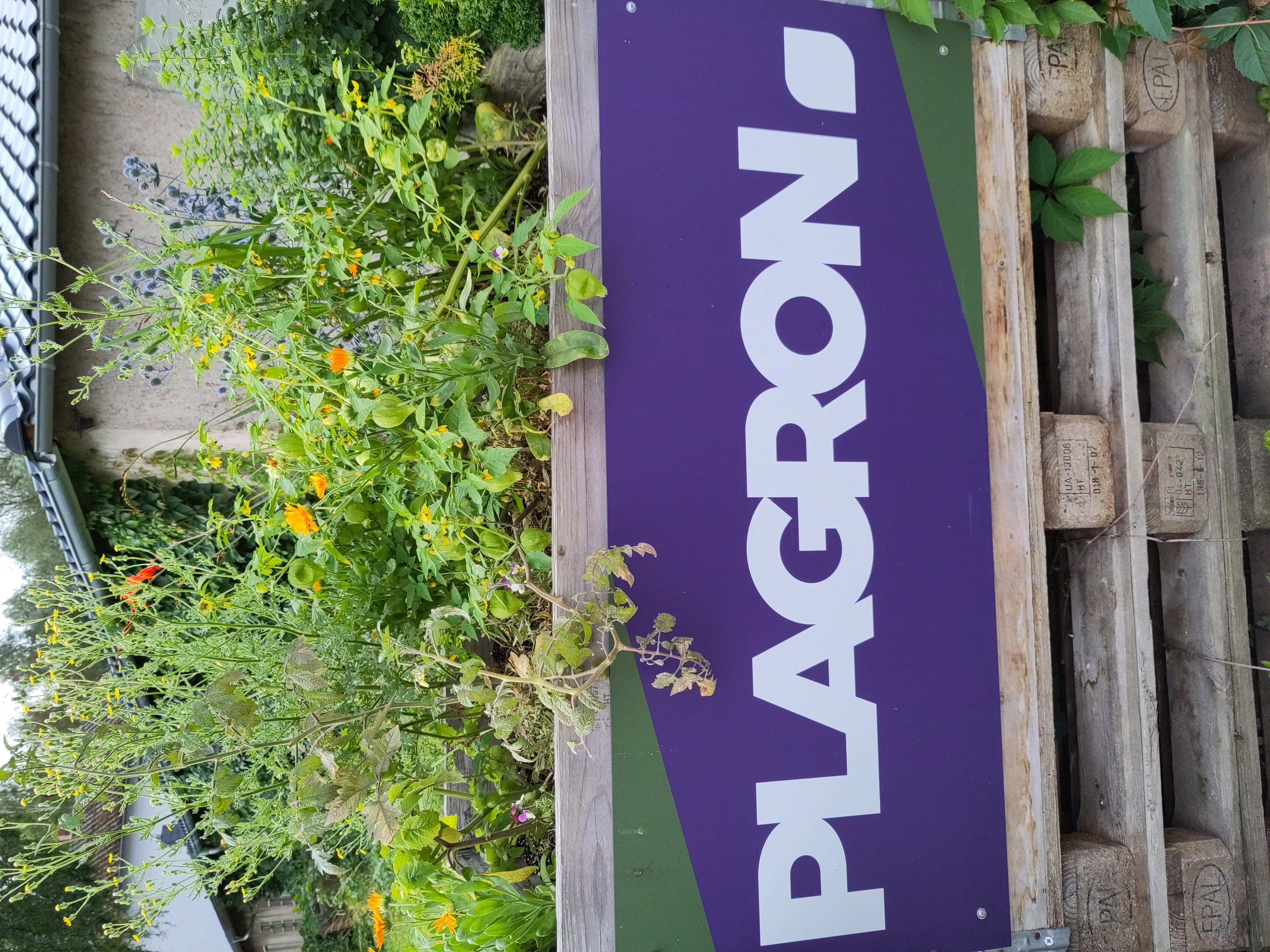 CBD-Shop: Plagron Hochbeet - Bloomtech