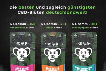 CBD-Shop: Koala CBD Hamburg